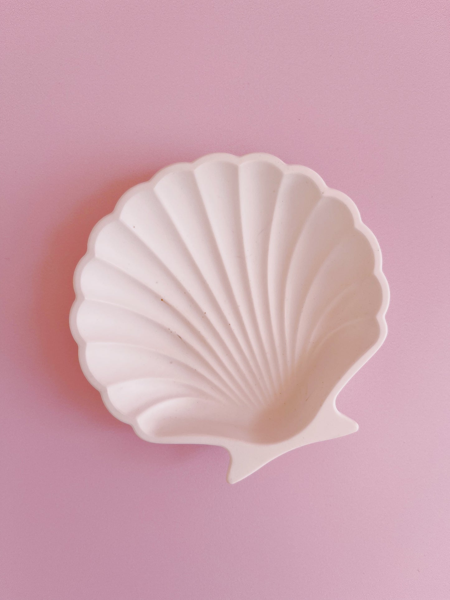 Seashell Photo + Video Styling Prop - CreativeBarn
