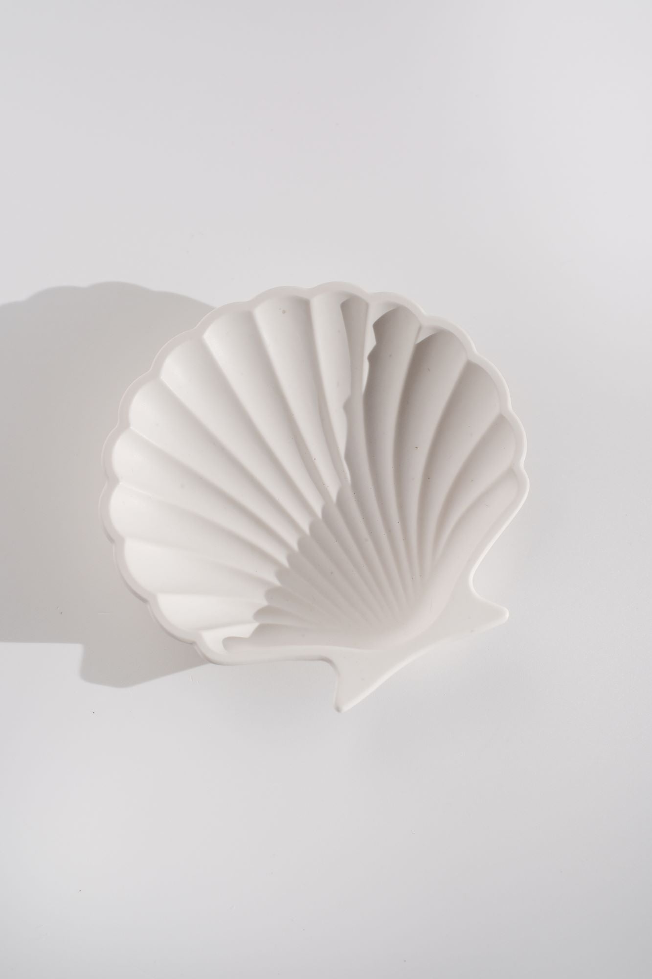 Seashell Photo + Video Styling Prop - CreativeBarn